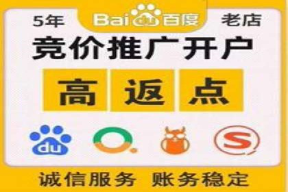 案例研究：SEM推广助力企业业绩增长